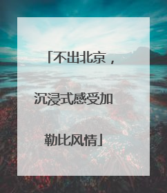 不出北京，沉浸式感受加勒比风情