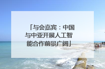 与会嘉宾：中国与中亚开展人工智能合作前景广阔