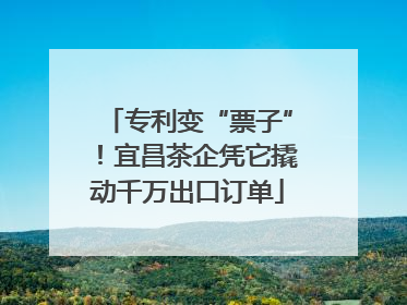 专利变“票子”！宜昌茶企凭它撬动千万出口订单