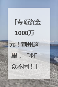 专项资金1000万元！荆州这里，“羽”众不同！