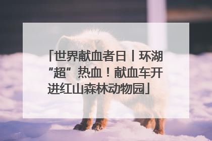 世界献血者日丨环湖“超”热血！献血车开进红山森林动物园