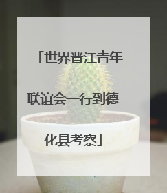 世界晋江青年联谊会一行到德化县考察