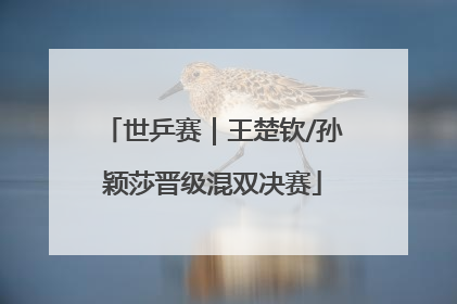 世乒赛｜王楚钦/孙颖莎晋级混双决赛