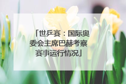 世乒赛：国际奥委会主席巴赫考察赛事运行情况