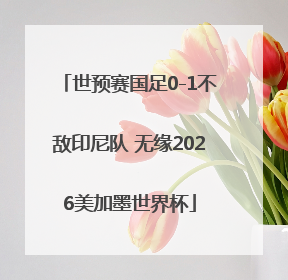世预赛国足0-1不敌印尼队 无缘2026美加墨世界杯
