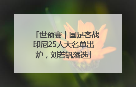 世预赛｜国足客战印尼25人大名单出炉，刘若钒落选