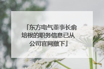 东方电气董事长俞培根的职务信息已从公司官网撤下