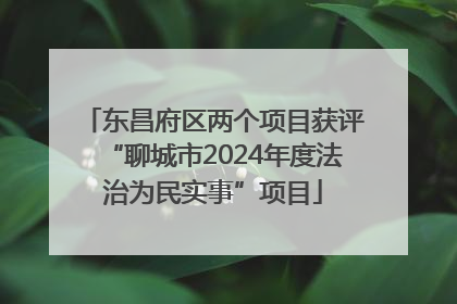 东昌府区两个项目获评“聊城市2024年度法治为民实事”项目