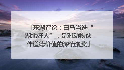 东湖评论：白马当选“湖北好人”，是对动物伙伴道德价值的深情褒奖