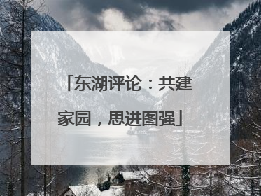 东湖评论：共建家园，思进图强
