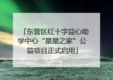 东营区红十字益心助学中心“星星之家”公益项目正式启用