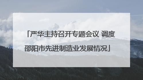 严华主持召开专题会议 调度邵阳市先进制造业发展情况