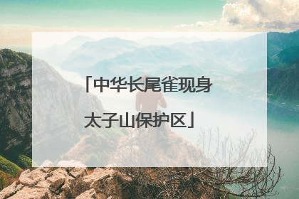 中华长尾雀现身太子山保护区