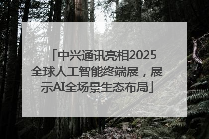 中兴通讯亮相2025全球人工智能终端展，展示AI全场景生态布局