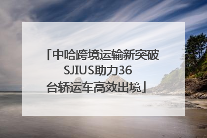 中哈跨境运输新突破 SJIUS助力36台轿运车高效出境