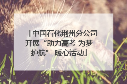 中国石化荆州分公司开展“助力高考 为梦护航” 暖心活动