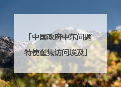 中国政府中东问题特使翟隽访问埃及