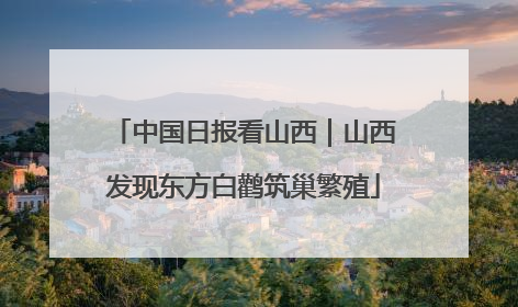 中国日报看山西｜山西发现东方白鹳筑巢繁殖
