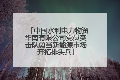 中国水利电力物资华南有限公司党员突击队勇当新能源市场开拓排头兵
