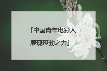 中国青年电影人展现蓬勃之力