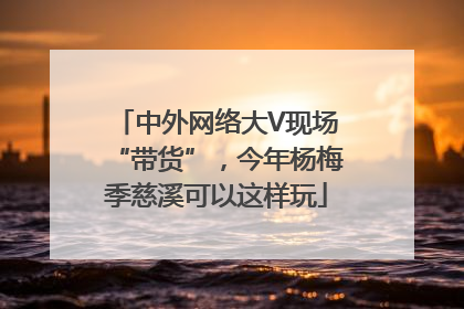中外网络大V现场“带货”，今年杨梅季慈溪可以这样玩