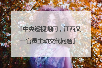 中央巡视期间，江西又一官员主动交代问题