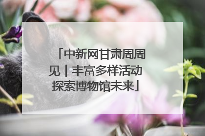 中新网甘肃周周见｜丰富多样活动探索博物馆未来