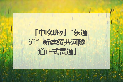 中欧班列“东通道”新建绥芬河隧道正式贯通