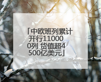 中欧班列累计开行110000列 货值超4500亿美元