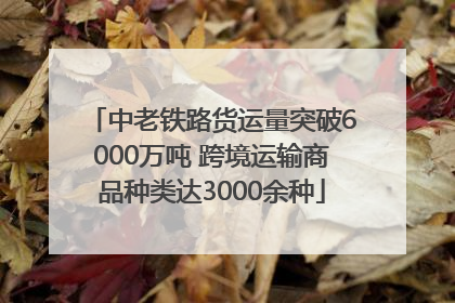 中老铁路货运量突破6000万吨 跨境运输商品种类达3000余种
