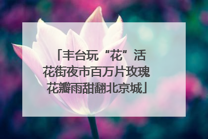 丰台玩“花”活 花街夜市百万片玫瑰花瓣雨甜翻北京城