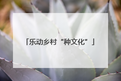 乐动乡村“种文化”