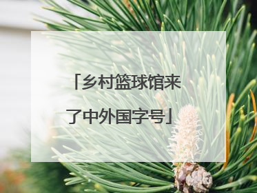 乡村篮球馆来了中外国字号