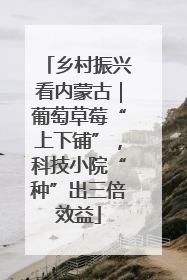 乡村振兴看内蒙古｜葡萄草莓“上下铺”，科技小院“种”出三倍效益