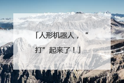 人形机器人，“打”起来了！