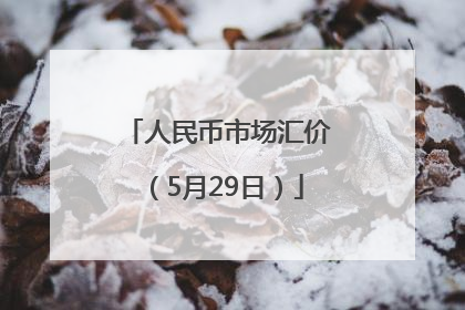 人民币市场汇价（5月29日）