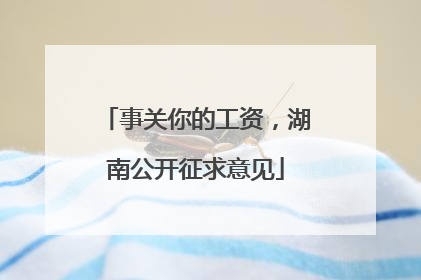 事关你的工资，湖南公开征求意见