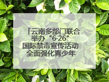 云南多部门联合举办“6·26”国际禁毒宣传活动 全面强化青少年防毒意识