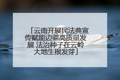 云南开展民法典宣传赋能边疆高质量发展 法治种子在云岭大地生根发芽