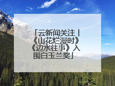 云新闻关注丨《山花烂漫时》《边水往事》入围白玉兰奖