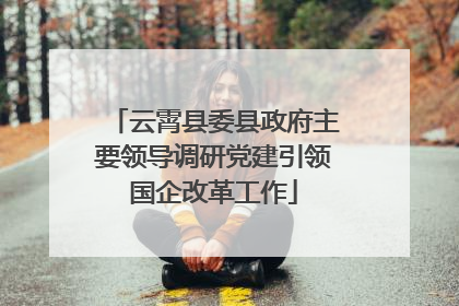 云霄县委县政府主要领导调研党建引领国企改革工作