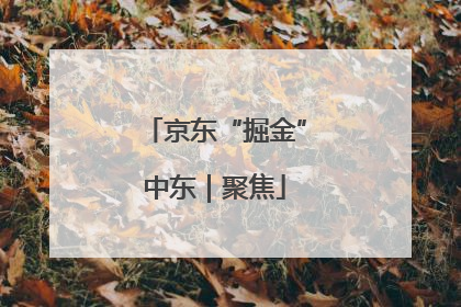 京东“掘金”中东｜聚焦