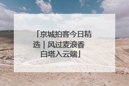 京城拍客今日精选｜风过麦浪香 白塔入云端