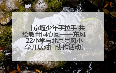 京堰少年手拉手 共绘教育同心圆——东风22小学与北京景风小学开展对口协作活动