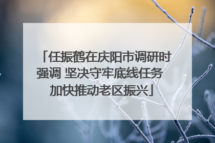 任振鹤在庆阳市调研时强调 坚决守牢底线任务 加快推动老区振兴