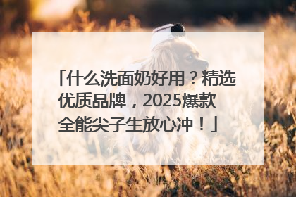 什么洗面奶好用？精选优质品牌，2025爆款全能尖子生放心冲！