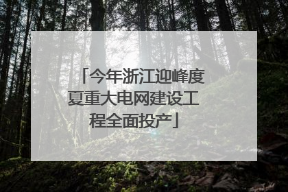今年浙江迎峰度夏重大电网建设工程全面投产