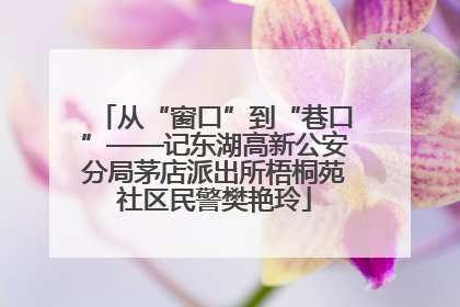 从“窗口”到“巷口”——记东湖高新公安分局茅店派出所梧桐苑社区民警樊艳玲