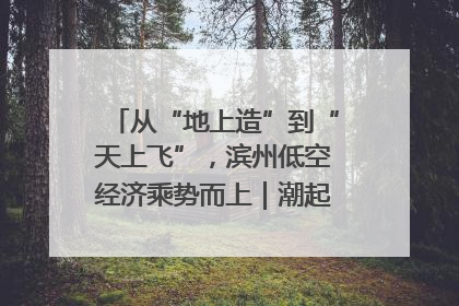 从“地上造”到“天上飞”，滨州低空经济乘势而上｜潮起渤海・网聚黄蓝