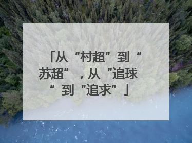 从“村超”到“苏超”，从“追球”到“追求”